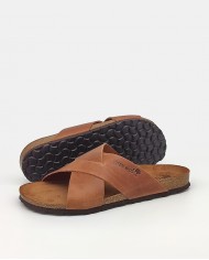 INTER-BIOS Pala cruzada 9509